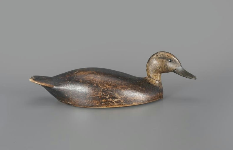 C. William Chrysler – Black Duck – 2025