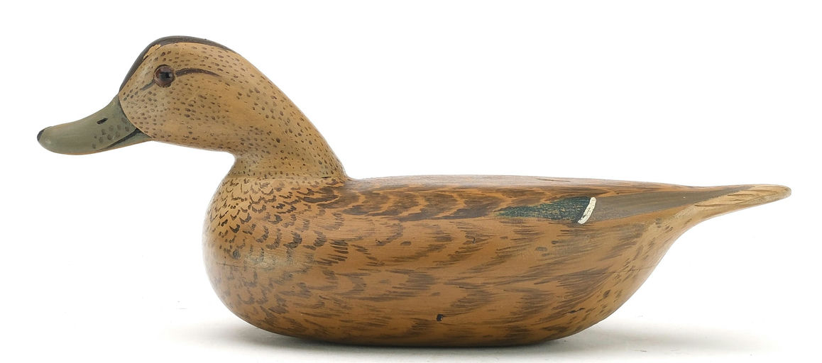 Mike Borrett – Green-winged Teal – 2024