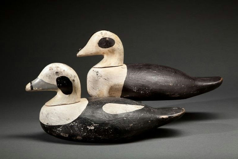 Levy Family – Old Squaw Pair – 2014