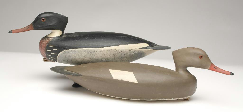 Hurley Conklin – Pair of Merganser – 2023