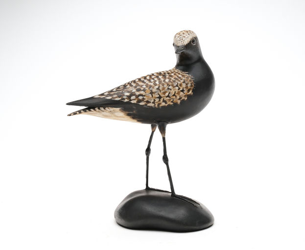 Elmer Crowell – Black Bellied Plover – 2026