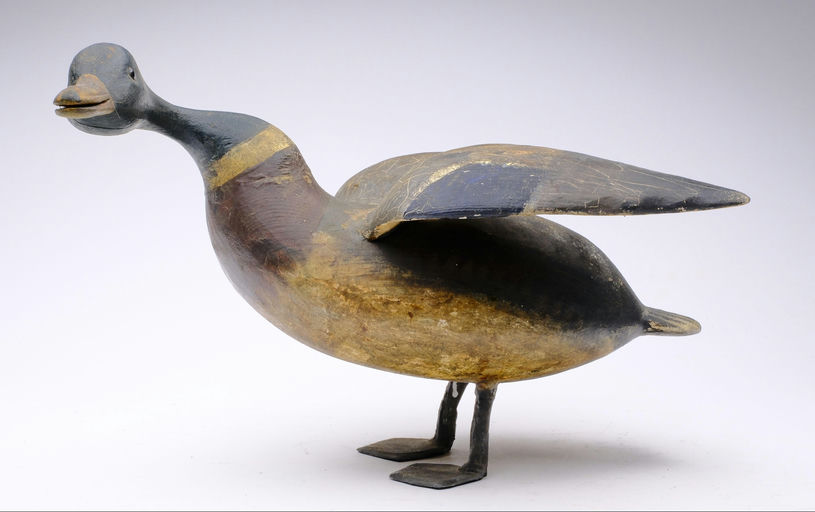Reggie Birch – Mallard – 2024