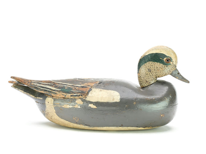 John McLoughlin – Wigeon – 2025