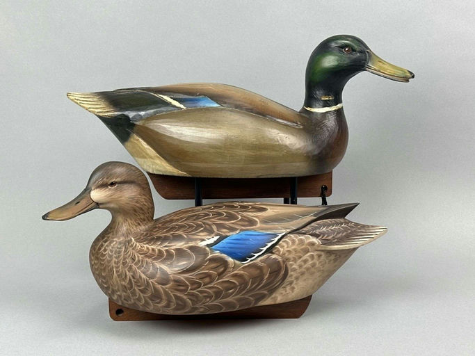 Sean Sutton – Mallard – 2026
