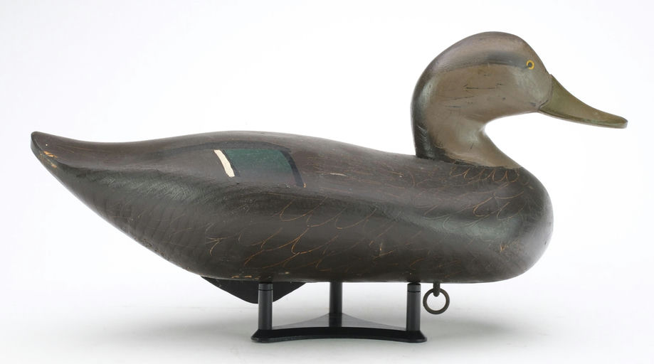R. Madison Mitchell – Black Duck – 2024