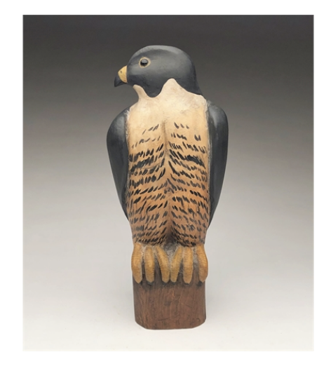 Grayson Chesser – Rare Standing Falcon On Fence Post – 2019