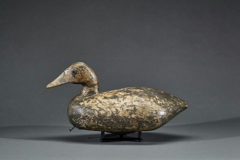 Sam Smith – Canvasback – 2017
