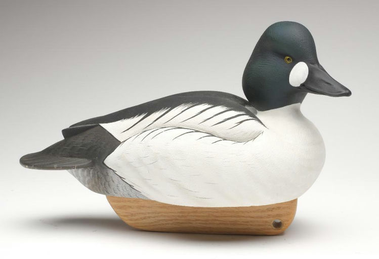 Tom Matus – Goldeneye – 2023