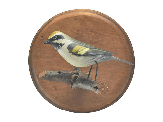 Elmer Crowell – Full Size Golden Winged Warbler – 2023