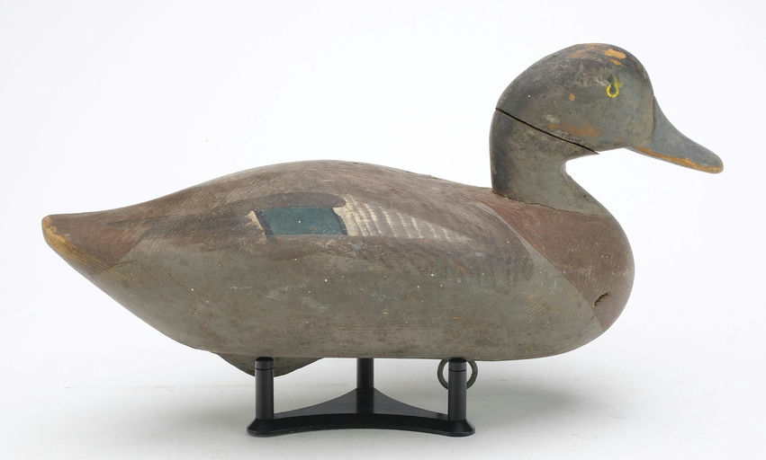 R. Madison Mitchell – Widgeon Hen – 2024