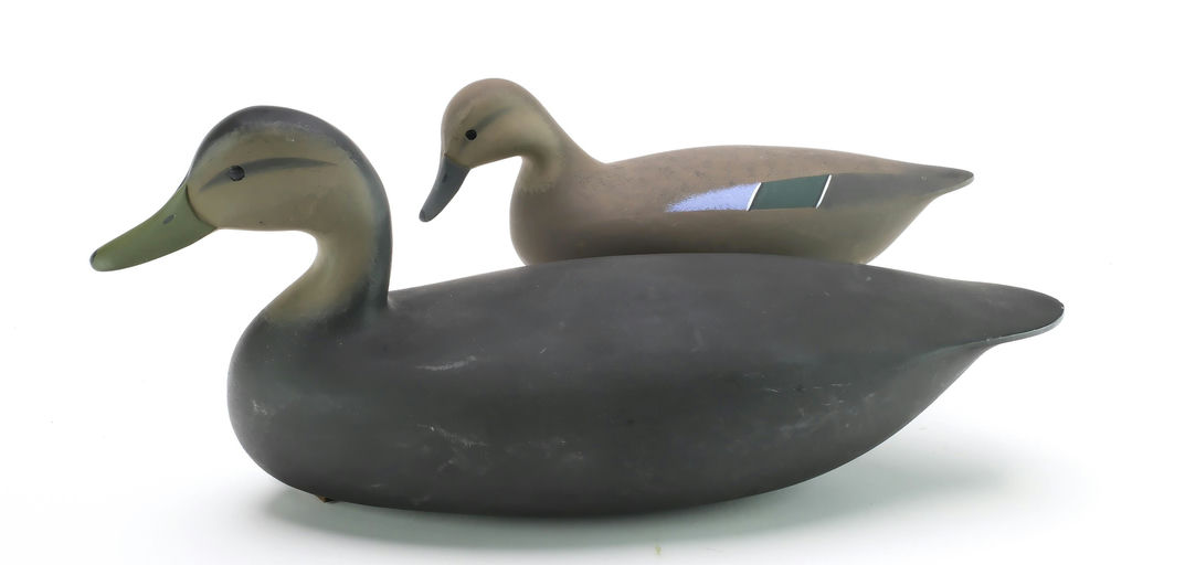 Jamie Hand – Blue-winged Teal – 2024
