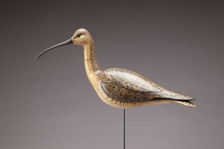 Bill Gibian – Long-Billed Curlew – 2013