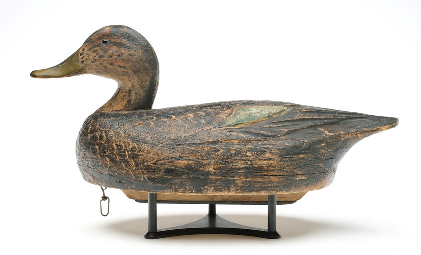 Ben Schmidt – Black Duck – 2026