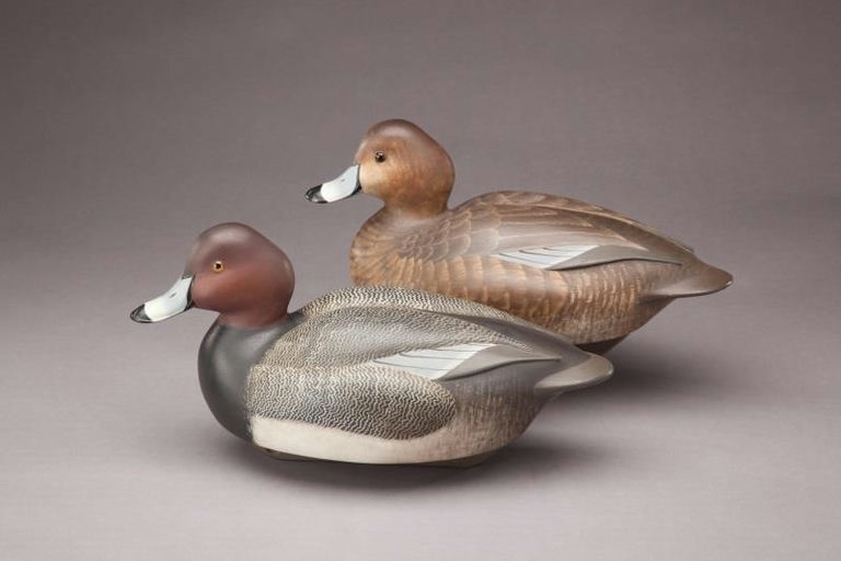 William Schultz – Redhead Pair – 2011