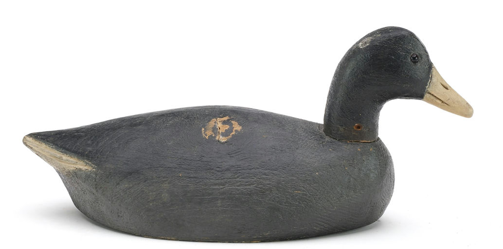 Ben Schmidt – Coot – 2024