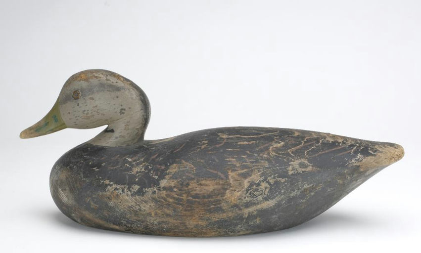 Joseph Lincoln – Black Duck – 2023