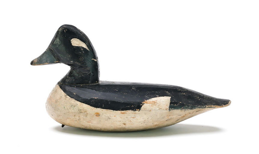 Doug Jester – Bufflehead – 2025