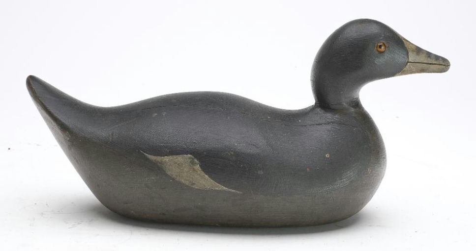 Mason Decoy Factory – Coot – 2023