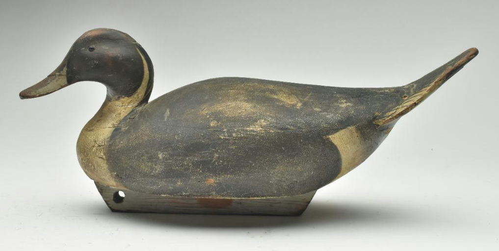 Ward Brothers – Pintail – 2023