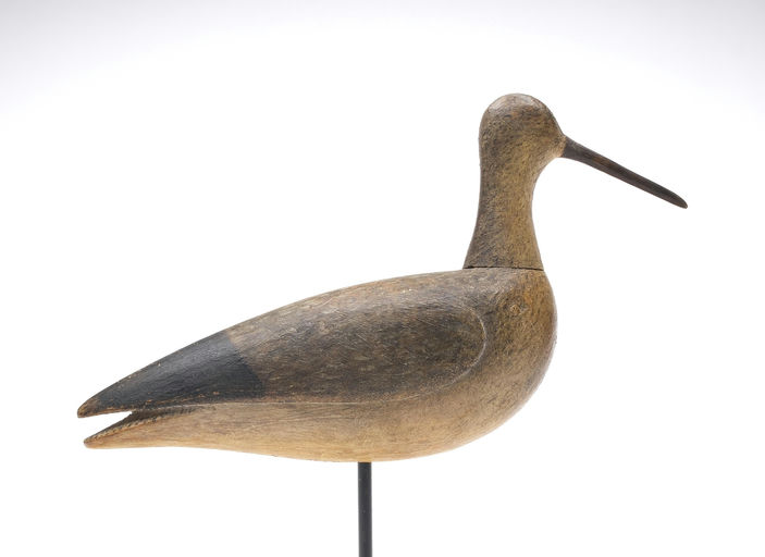 Mark McNair – Early Yellowlegs – 2026