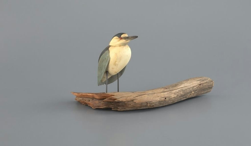 David W. Martinez – Black-capped Night Heron – 2025