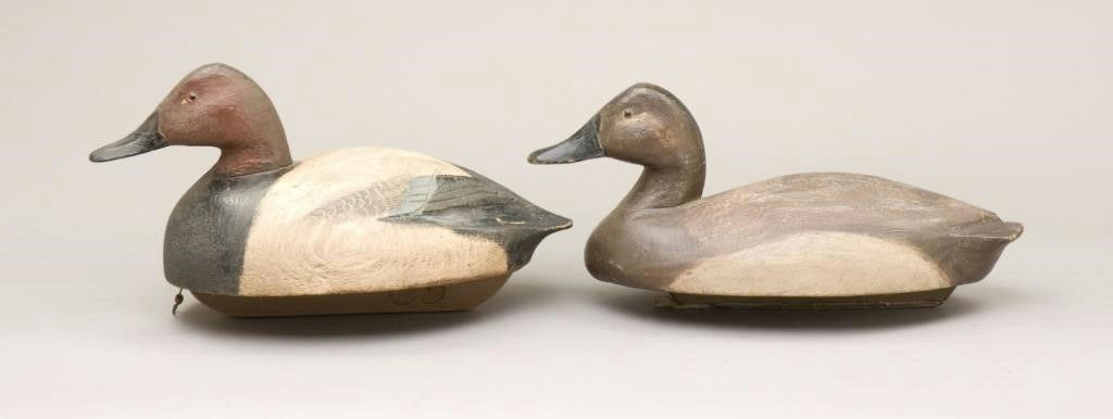 Ben Schmidt – Canvasback Hen and Drake – 2010