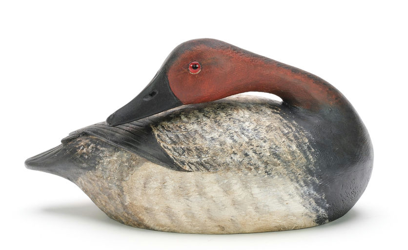 Reggie Birch – Canvasback – 2024