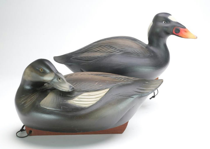 Sean Sutton – Drake and Hen Scoters – 2023