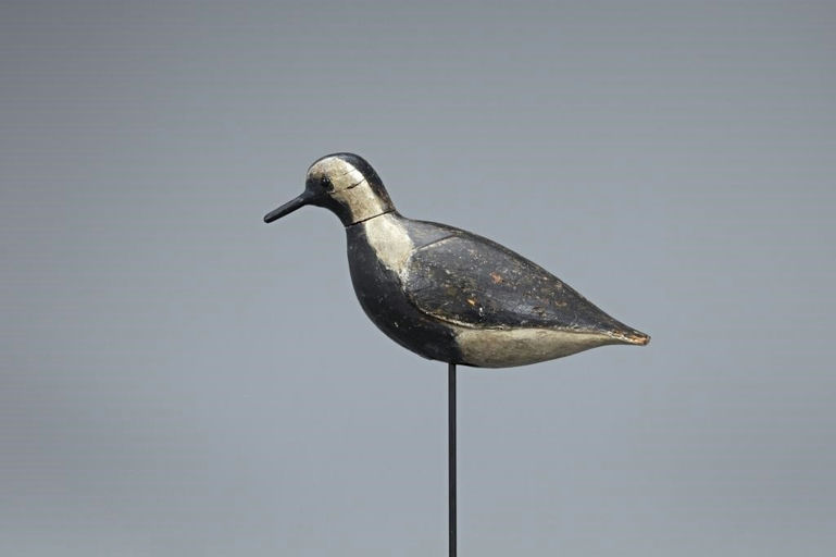 Edwin Thorne – Thorne Rig Golden Plover – 2019
