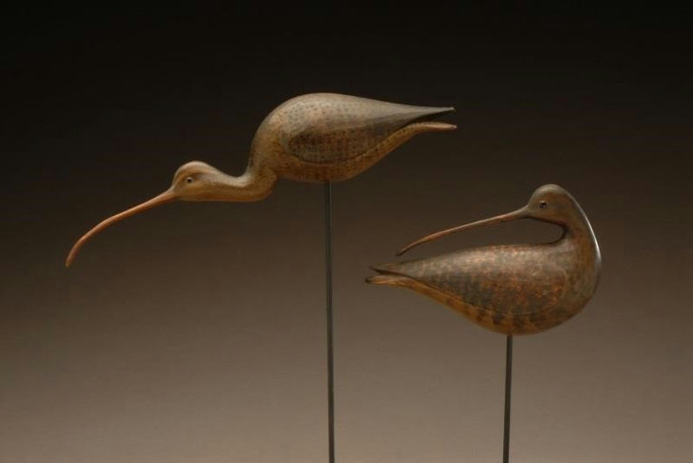 Mark McNair – Preening Curlew – 2008