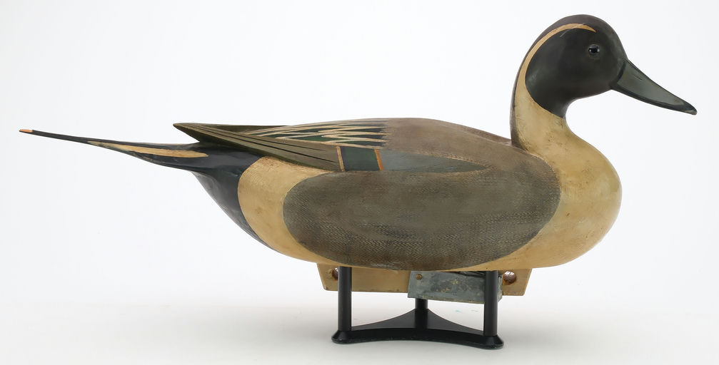 Mark McNair – Pintail – 2024