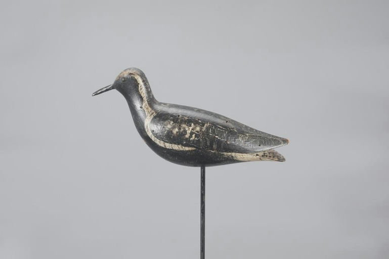 William J. Wyer – Wyer Golden Plover – 2023