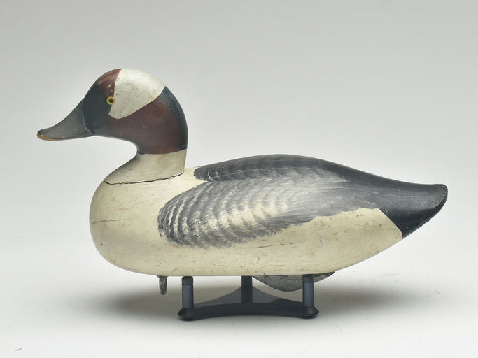 R. Madison Mitchell – Bufflehead – 2023