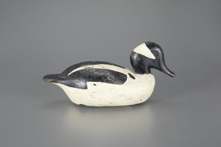 Charles Curcek – Bufflehead – 2024