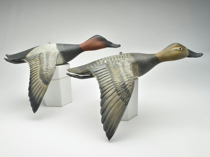 Mike Borrett – Canvasback – 2023