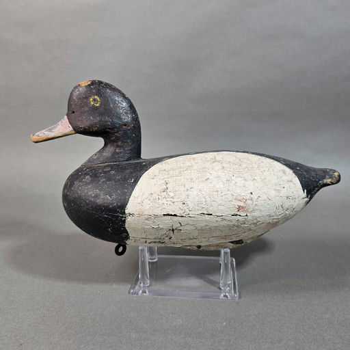 William Edward Armiger – Scaup – 2026