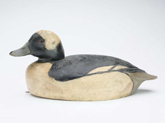 Ben Schmidt – Bufflehead Drake – 2024