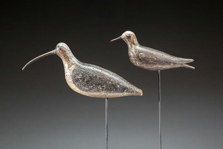 Thomas Gelston – Cork-Bodied Curlew – 2016