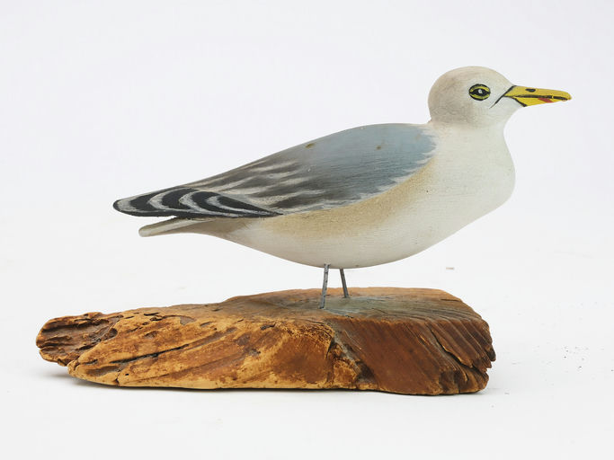 Elmer Crowell – Miniature Gull – 2024