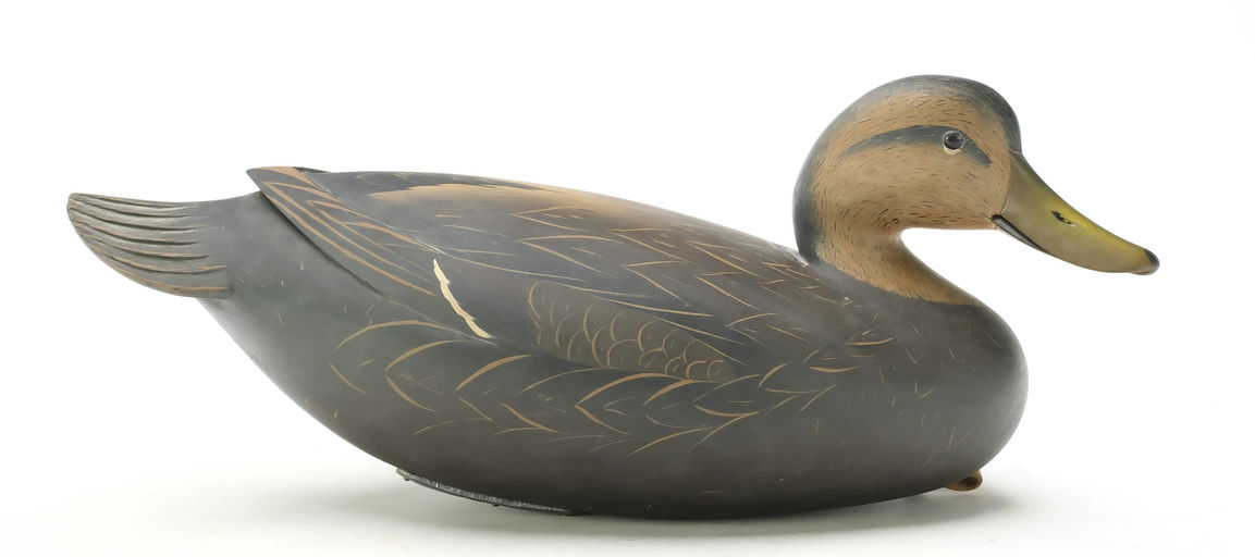 George Strunk – Black Duck – 2025