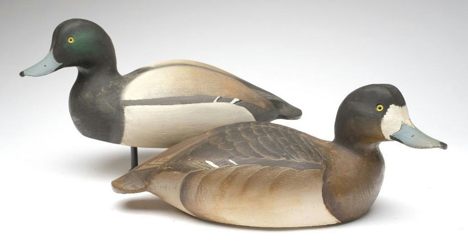 Ward Brothers – Pair of bluebills – 2023