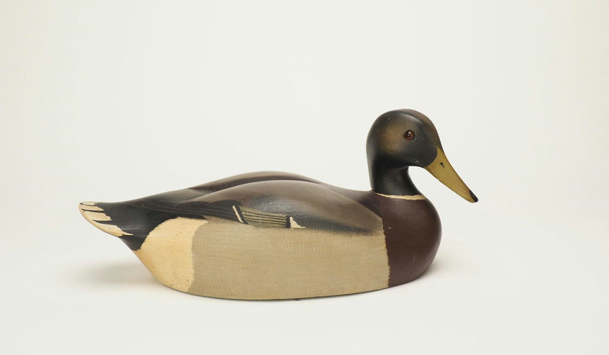 Ken Harris – Mallard Drake – 2024