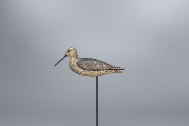 Charles Sumner Bunn – Dowitcher – 2017