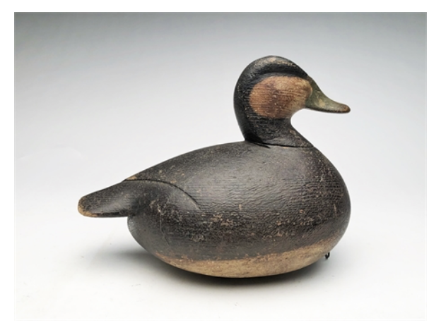 Mark McNair – Fat Ruddy Duck – 2021