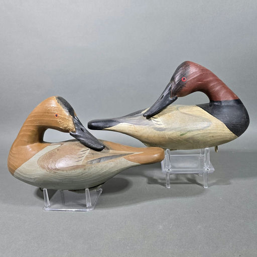 Vernon Bryant – Canvasback – 2026
