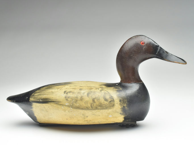 Bert Graves – Canvasback – 2023