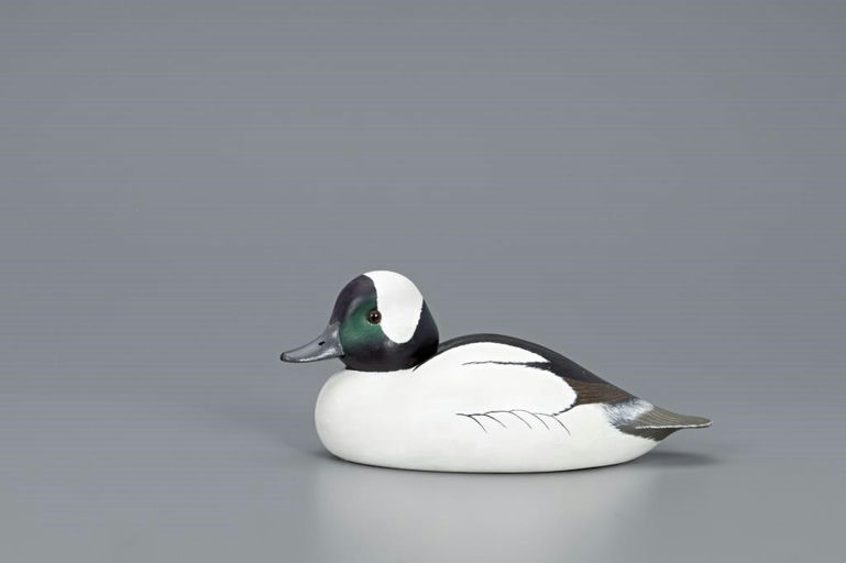 Cigar Daisey – Bufflehead Drake – 2019