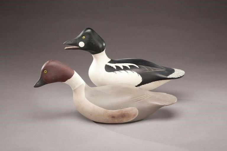 Gerald B. Smith – Swimming Goldeneye Pair – 2011