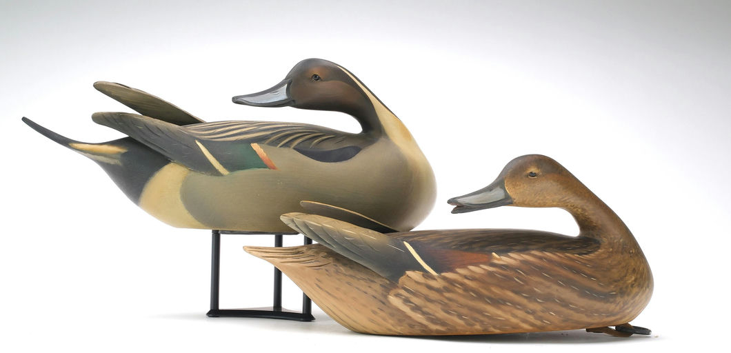 Sean Sutton – Pair of Pintail – 2024