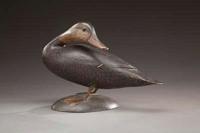 Elmer Crowell – Standing Preening Black Duck – 2012